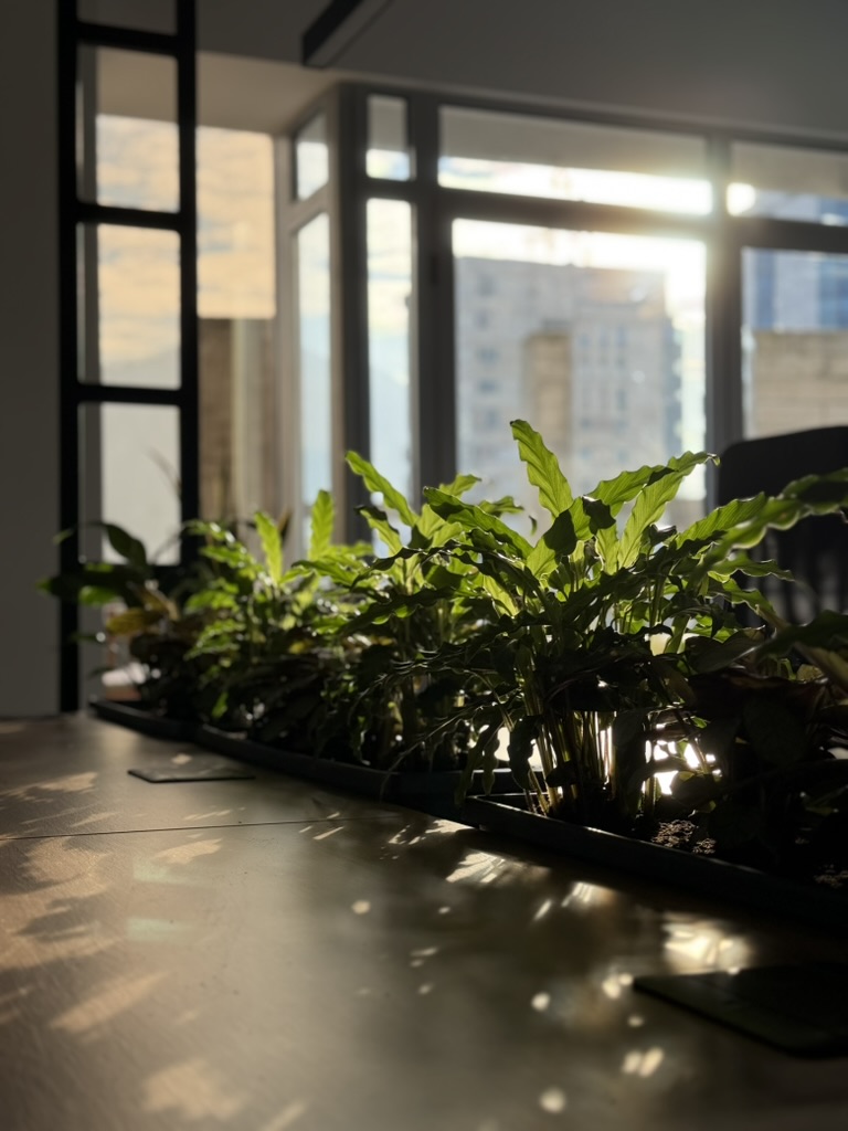 Relaxare Digital Nomads Relaxare Digital Nomads