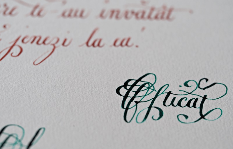 Ofticat Un „Ofticat” înflorit